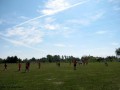 IV Turniej Piłkarski o Puchar Wójta Gminy Naruszewo_2012 (35)