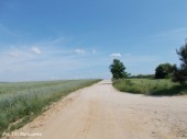 Przebudowa drogi żwirowej w miejscowości Łazęki  (4)