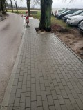 Budowa chodnika w Naruszewie_04_01_2024 (16)