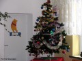 Konkurs plastyczny_Bożonarodzeniowe czary_mary_2012 (16)